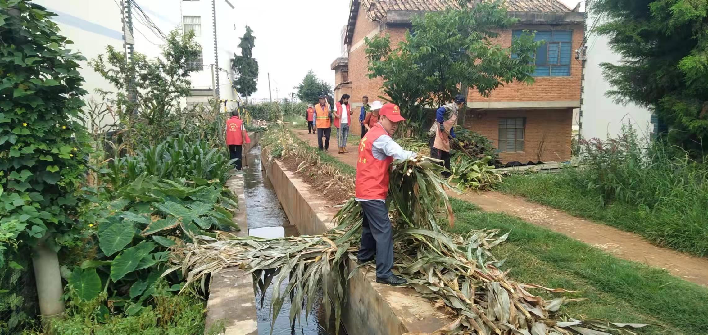 楊家壩村委會(huì)最新招聘信息概覽，崗位空缺與申請(qǐng)指南