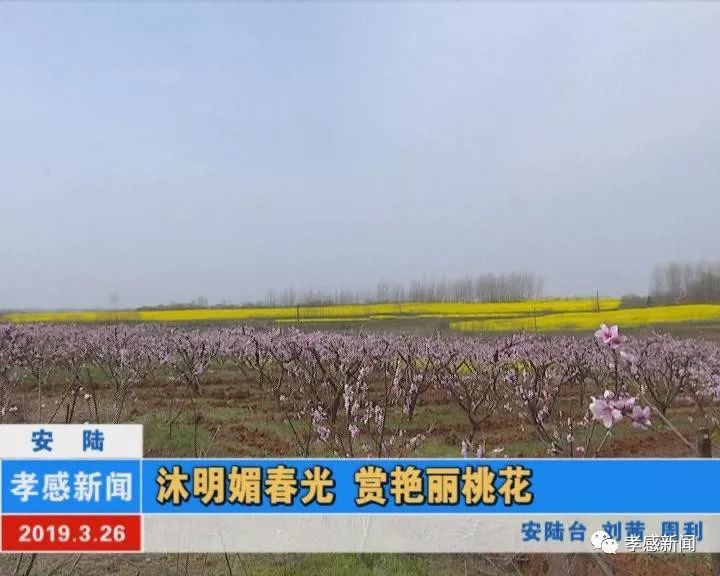 鞏店鎮(zhèn)最新天氣預(yù)報(bào)