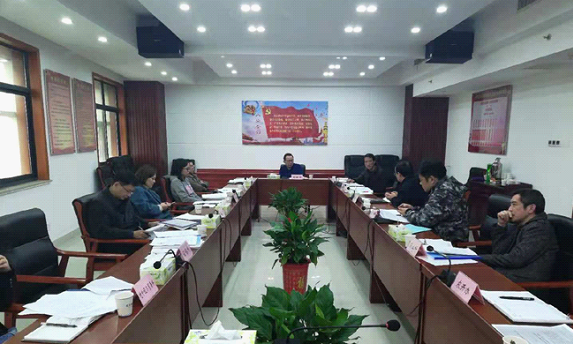 阿里地區(qū)市財政局最新項目