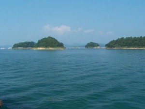 山西省長治市壺關(guān)縣五龍山鄉(xiāng)最新項目