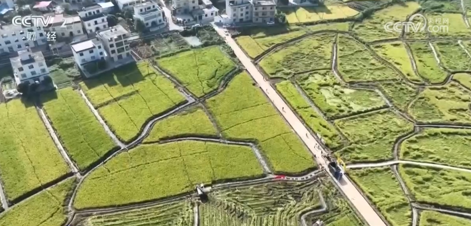 賀豐村委會最新天氣預(yù)報(bào)