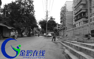 馬路東街道辦事處最新交通新聞