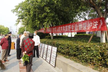連城縣市場監(jiān)督管理局最新新聞