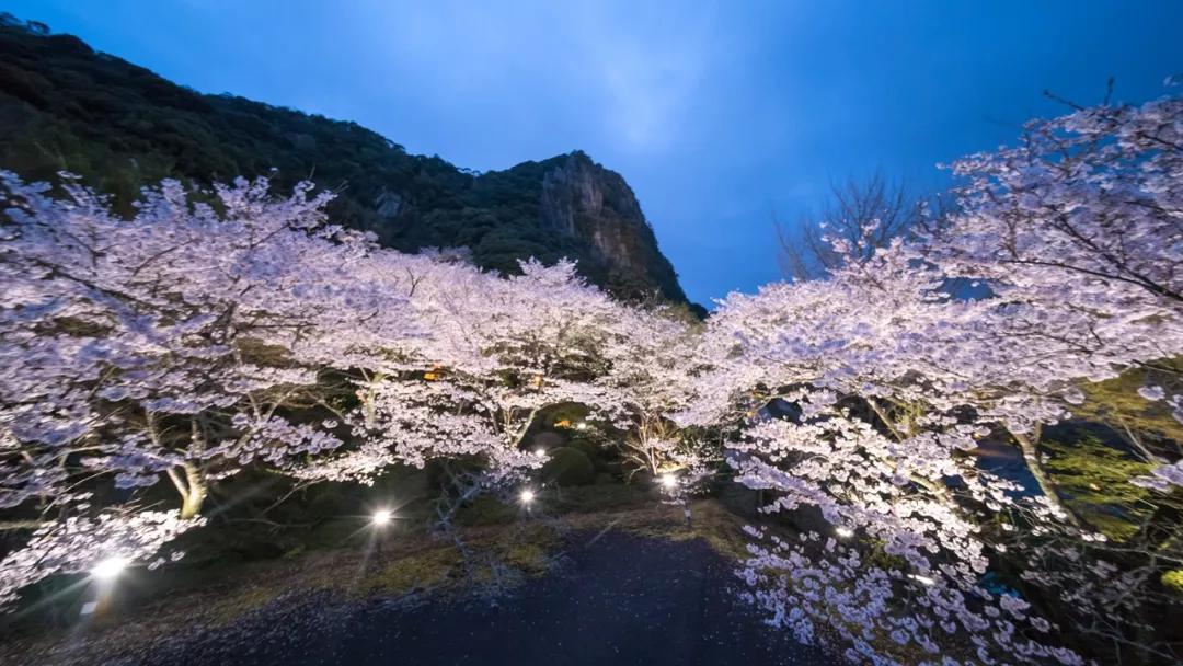 桃山街道最新天氣預(yù)報(bào)