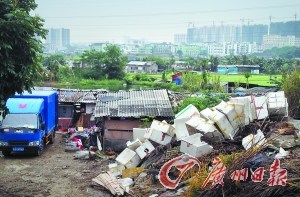 棠下街道最新新聞