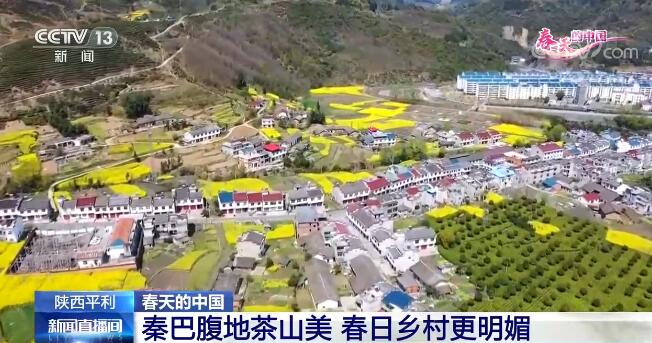然達(dá)村最新交通新聞
