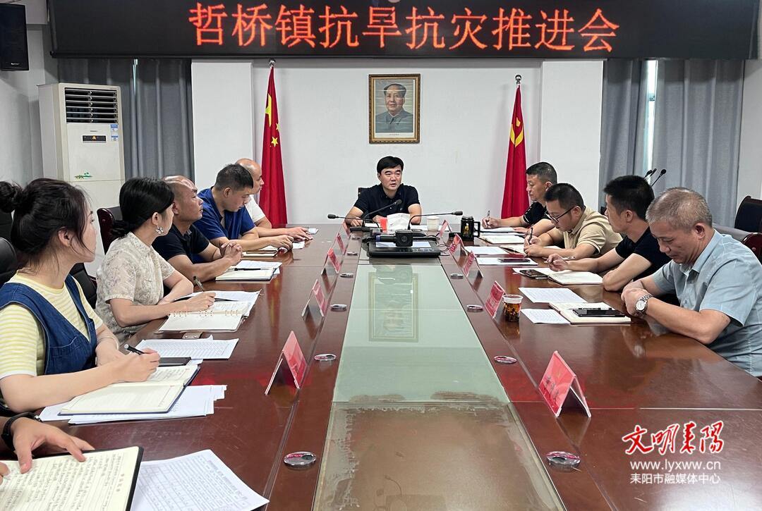 哲橋鎮(zhèn)最新交通新聞