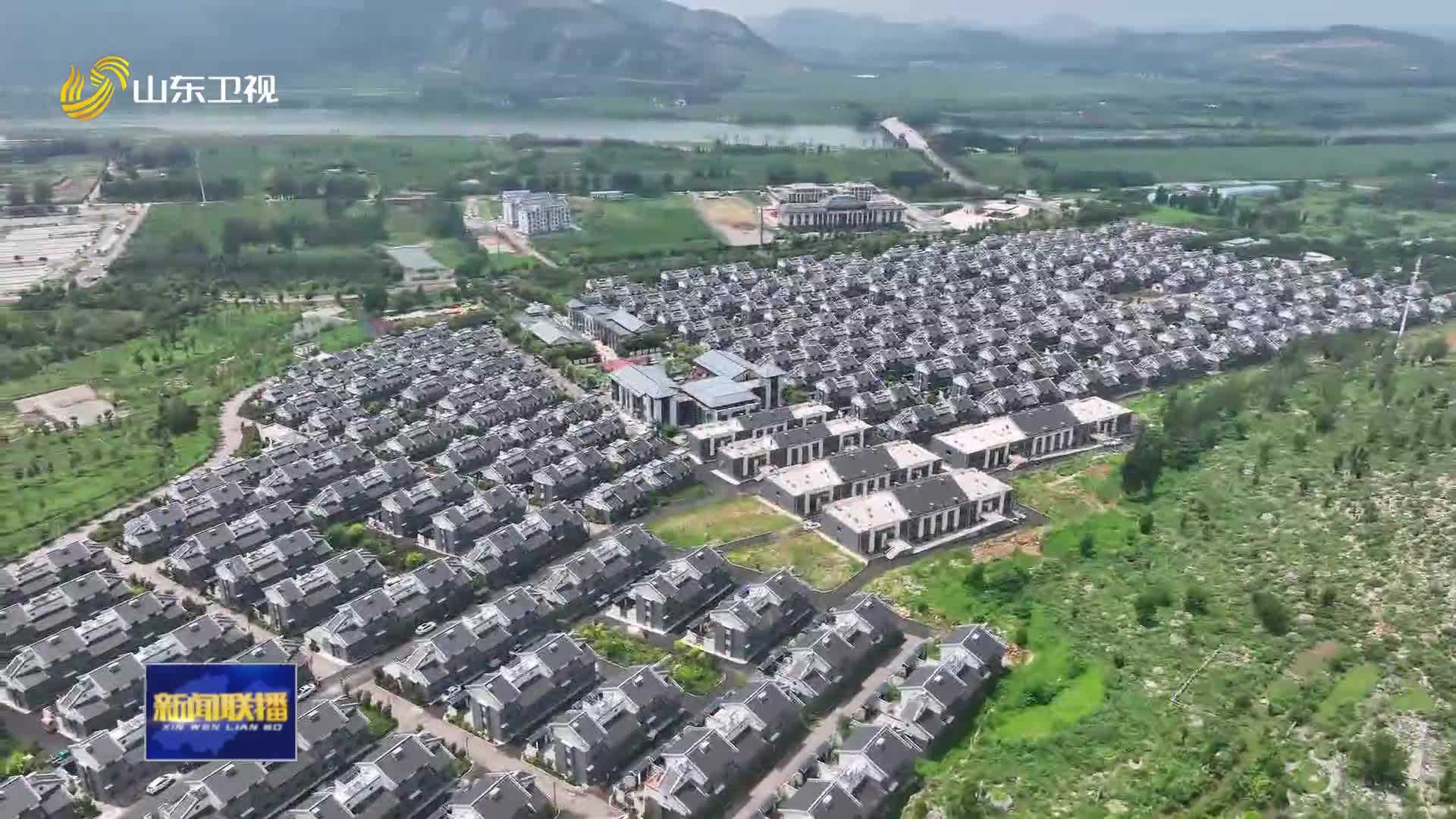 強(qiáng)村最新新聞