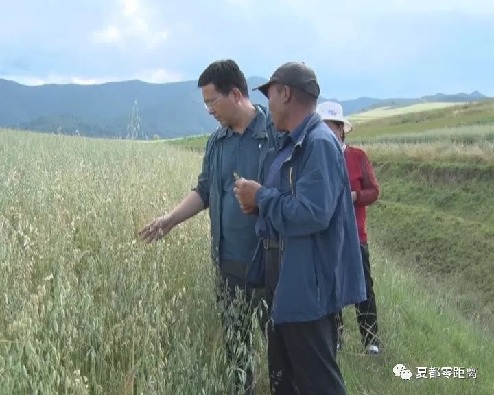 愛飛翰 第3頁