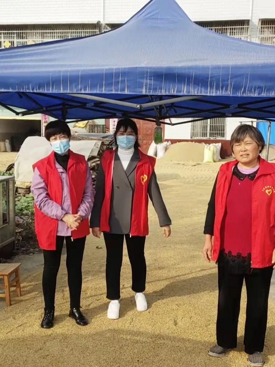 毛集區(qū)夏集鎮(zhèn)最新交通新聞
