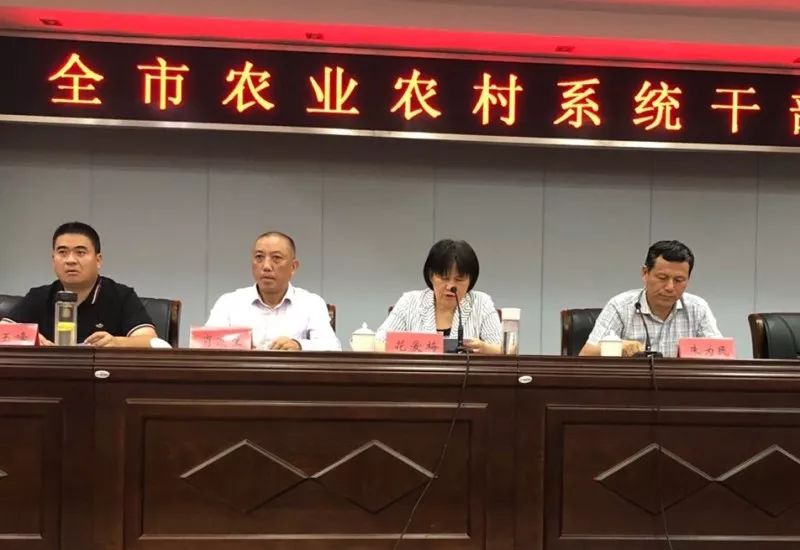黨精村最新人事任命