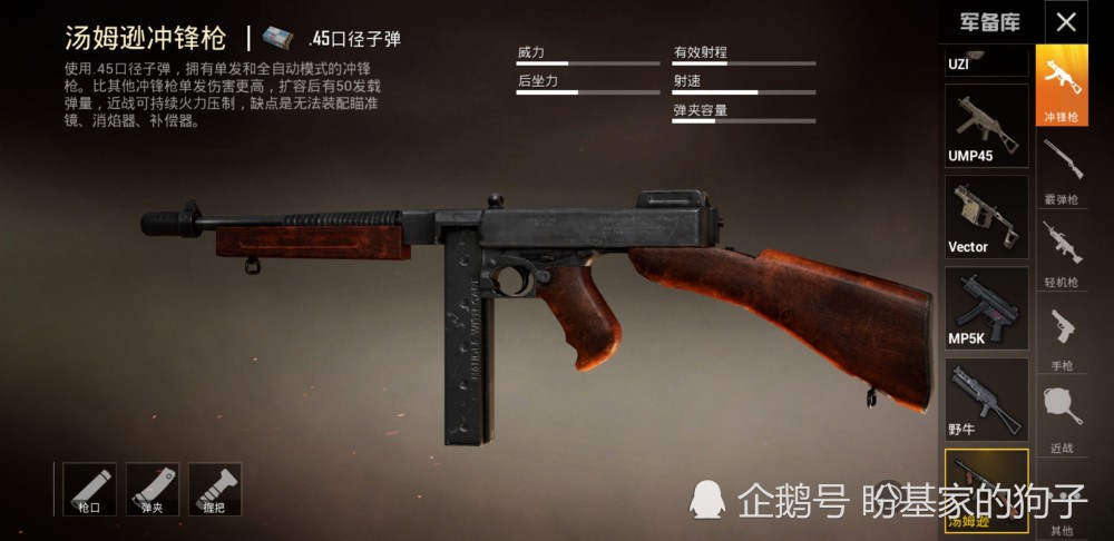 和平精英最新槍支揭秘，探索新武器的獨(dú)特魅力與特點(diǎn)