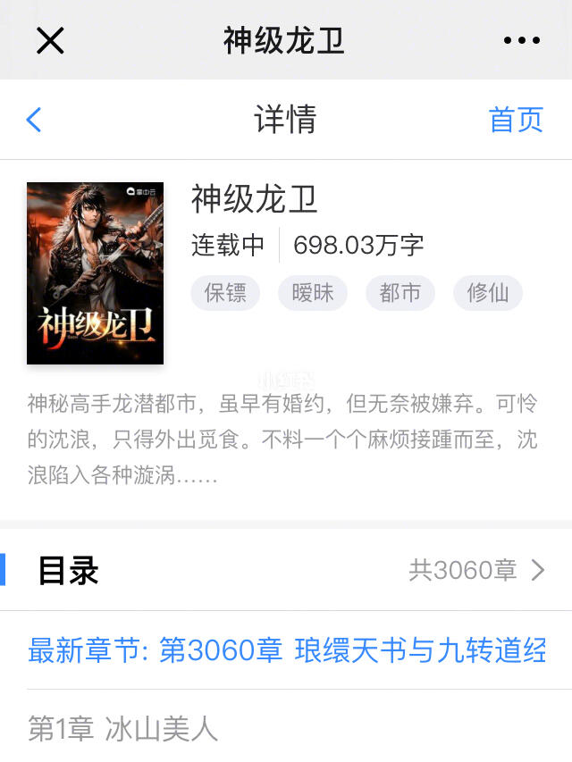 極品龍衛(wèi)，熱血江湖波瀾再起的傳奇