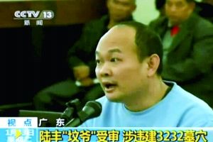 陸豐墳爺最新動態(tài)揭秘，背后不為人知的故事