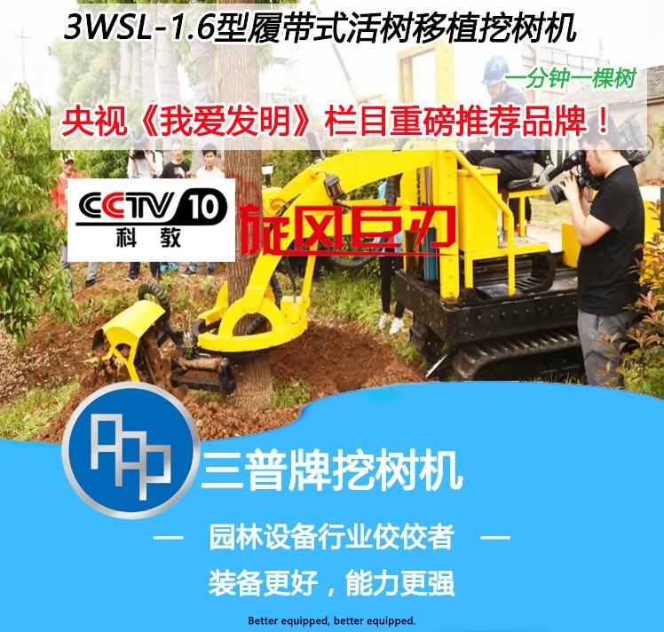最新挖樹機技術革命，重塑林業(yè)生產(chǎn)力的先鋒工具