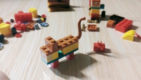 樂高最新拼砌包，探索創(chuàng)新魅力與樂趣的無限可能