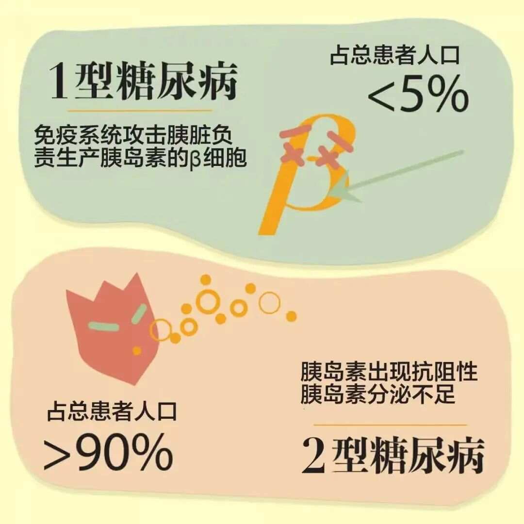 一型糖尿病最新研究與治療進(jìn)展綜述