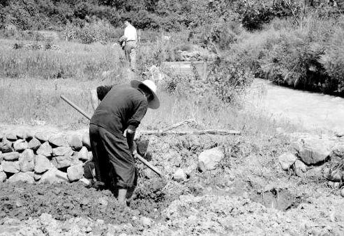 銅冶煉廠最新信息概覽，行業(yè)動(dòng)態(tài)與技術(shù)發(fā)展解析