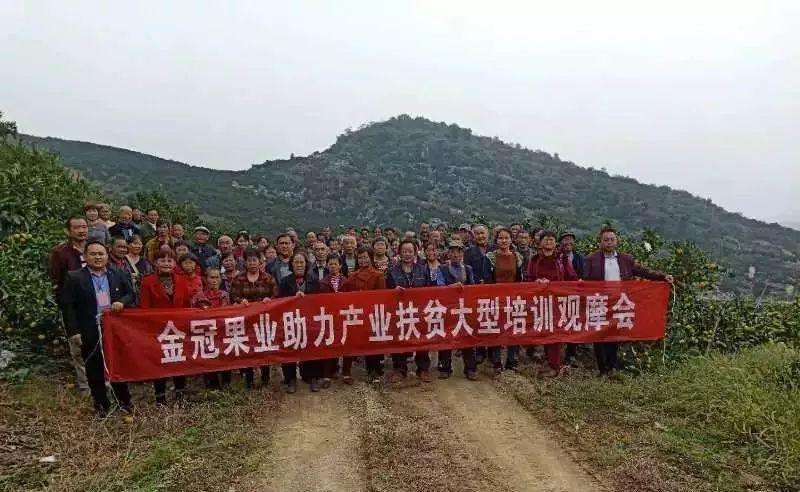 越信 第3頁