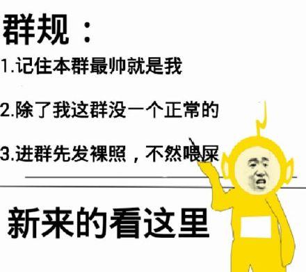 微信表情包群最新動(dòng)態(tài)，探尋新時(shí)代的表情文化潮流