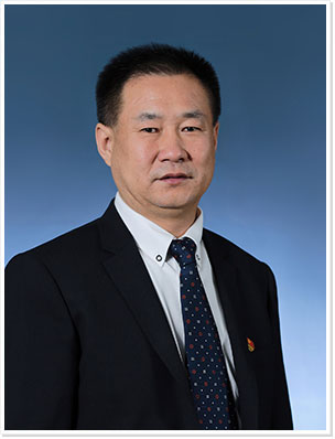殷金寶最新動態(tài)，成功背后的故事揭秘