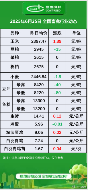 今日全國生豬價格分析與展望，最新動態(tài)及未來趨勢解析