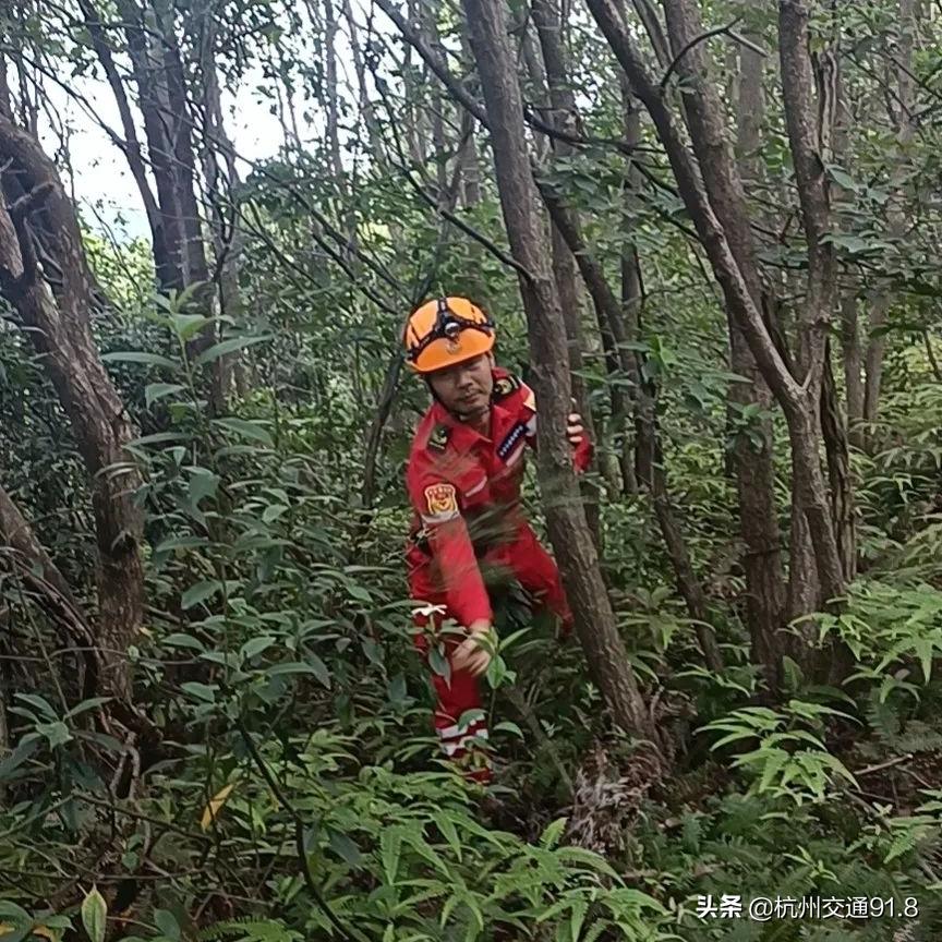杭州失蹤女子最新情況深度剖析報道
