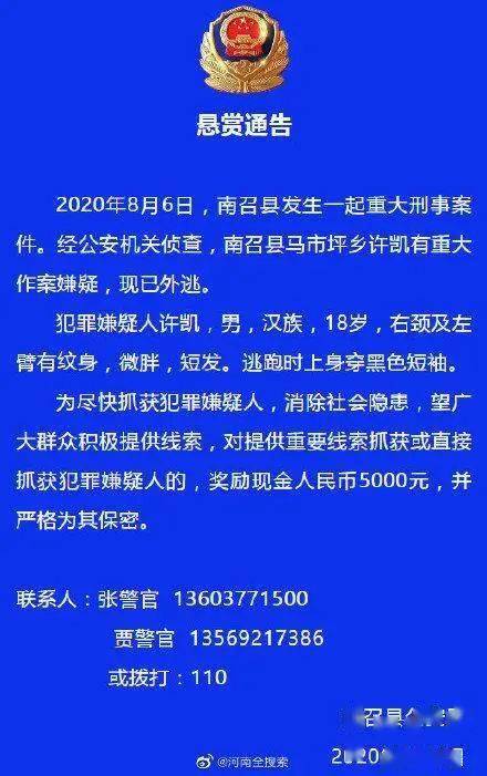 南陽刑事案件最新進展簡報