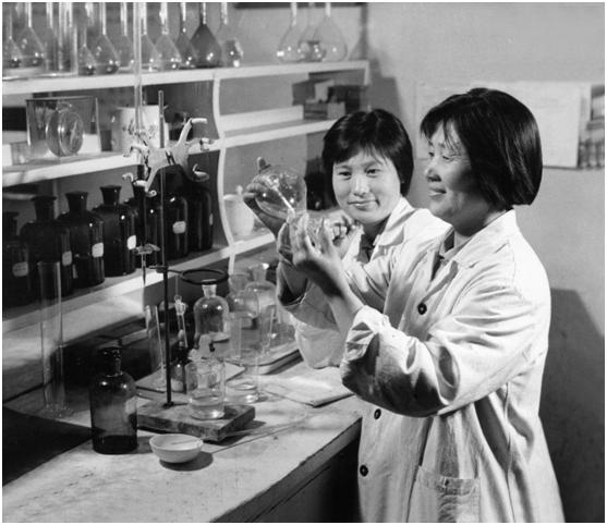 汾酒最新動態(tài)深度剖析