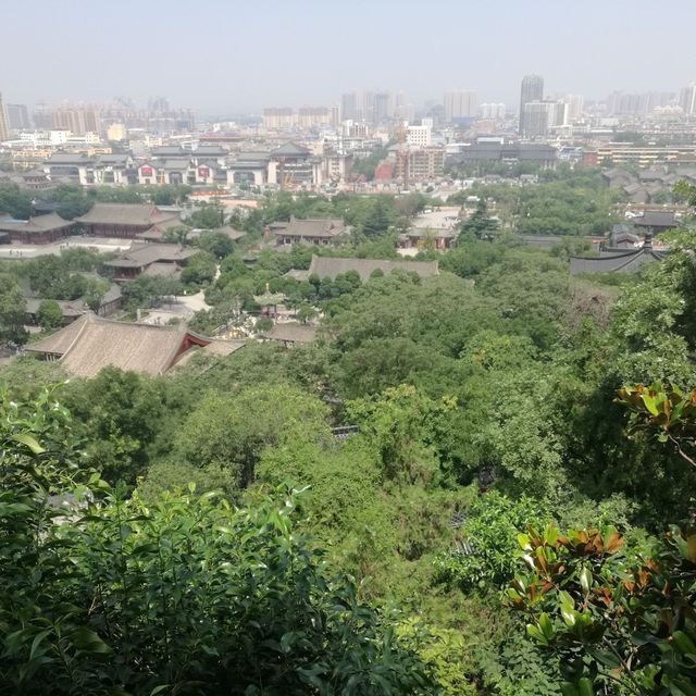 驪山國家森林公園最新動態(tài)及魅力展示
