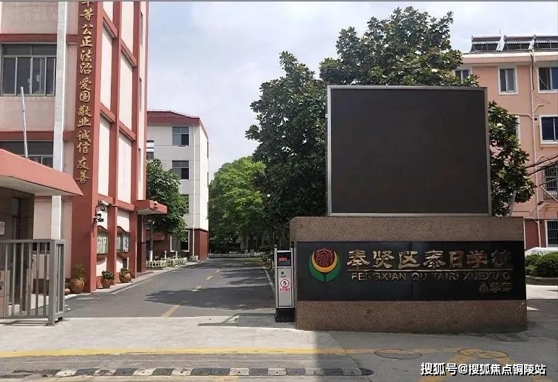 金匯泰最新消息全面解讀