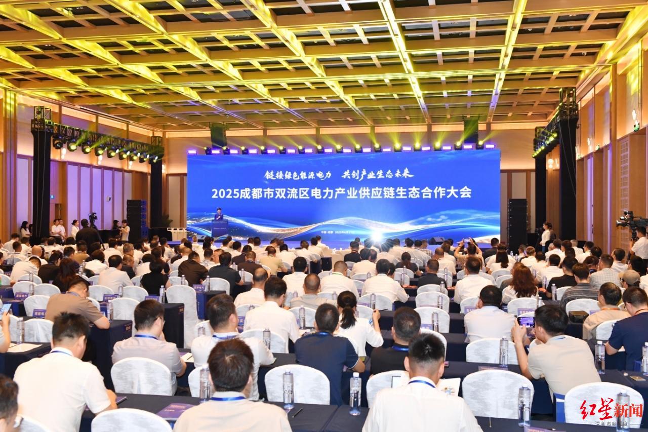 成都雙流最新消息綜述，新聞一覽無余