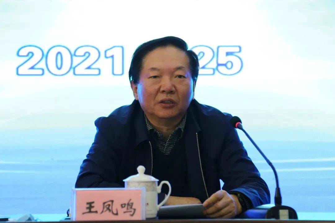 王鳳鳴最新動(dòng)態(tài)，揭曉未來(lái)篇章發(fā)展之路