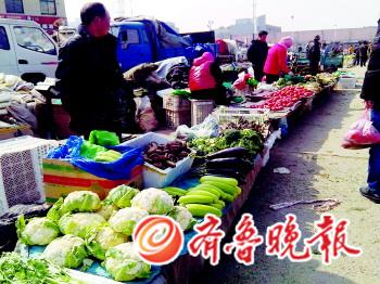 蔬菜批發(fā)市場最新動(dòng)態(tài)概覽