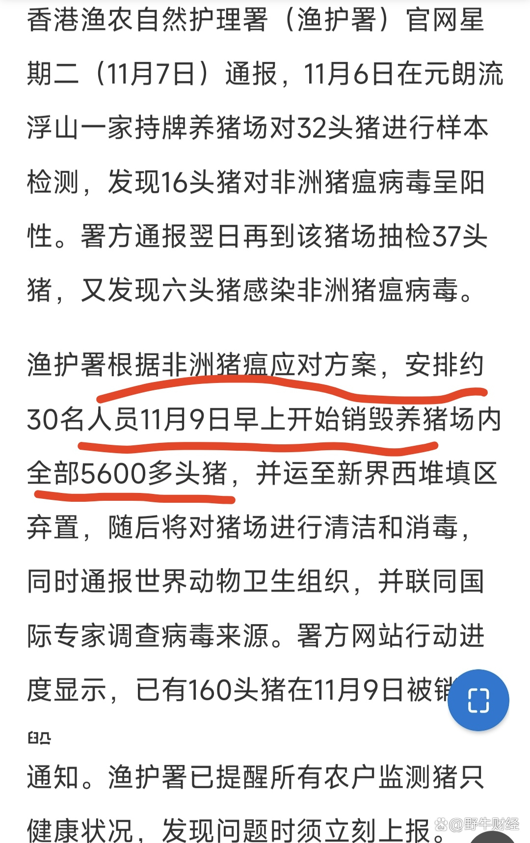全球防控非瘟豬瘟，最新動(dòng)態(tài)與應(yīng)對策略