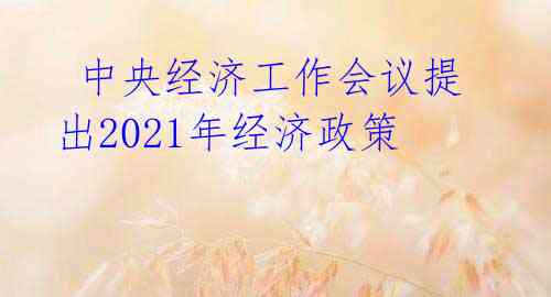 解析最新經(jīng)濟政策，重塑經(jīng)濟格局的關(guān)鍵策略