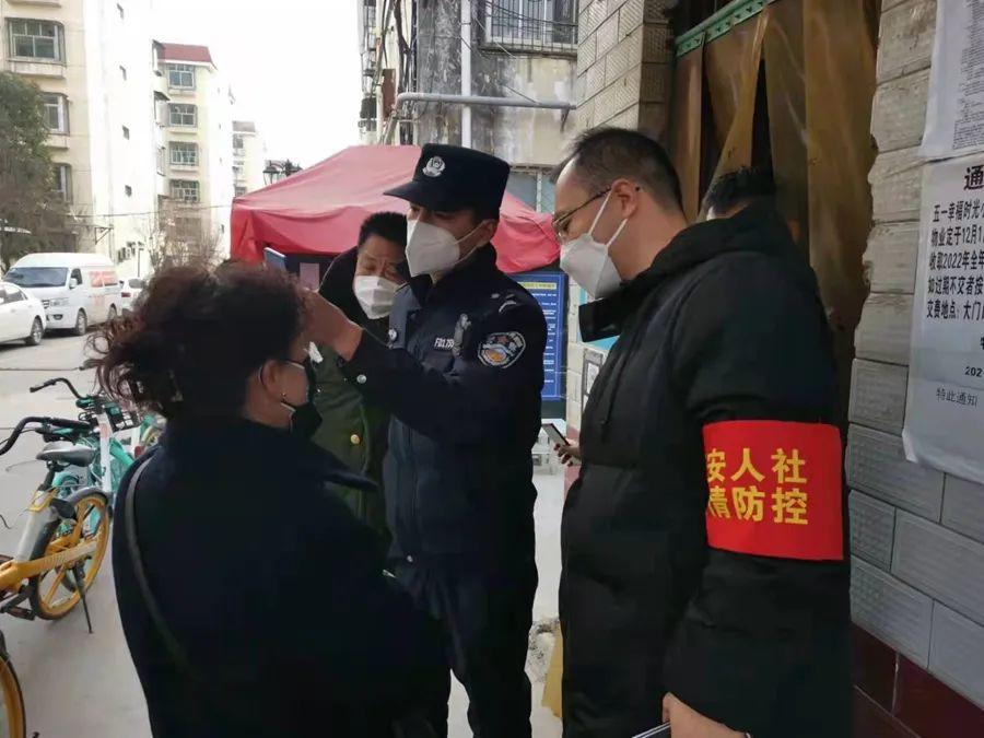 紫境城最新消息深度解讀