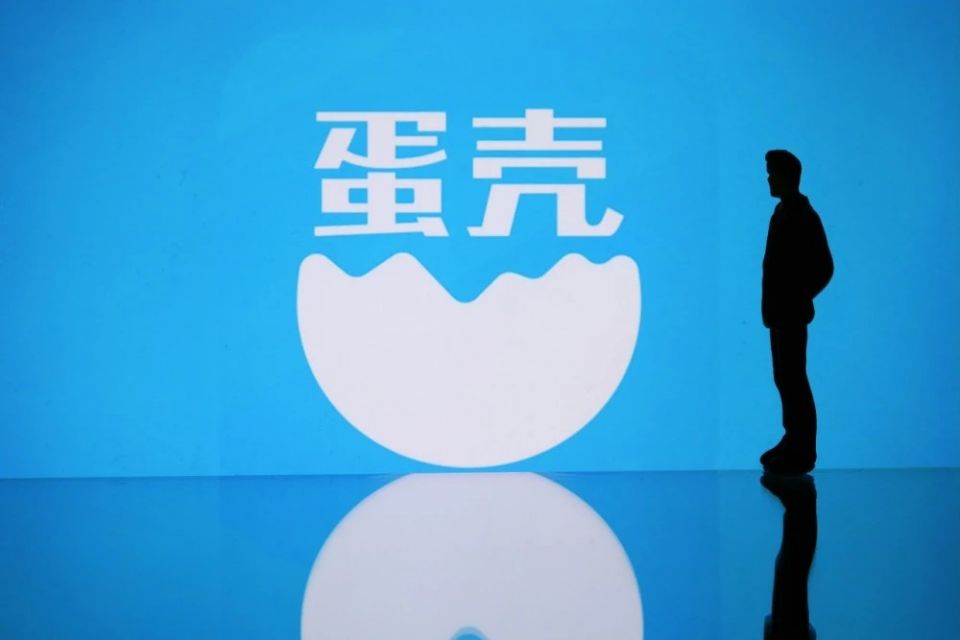 北京蛋殼公司最新消息全面解析