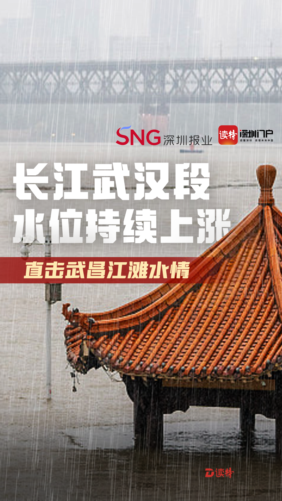 武漢長江洪峰最新動態(tài)，全力應對，確保安全無虞