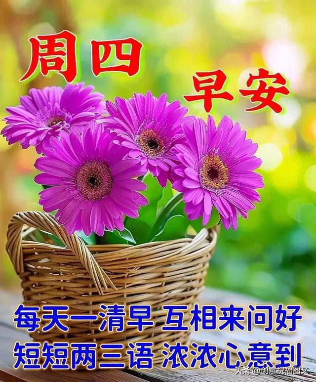每日早上好圖片，喚醒美好一天的視覺盛宴