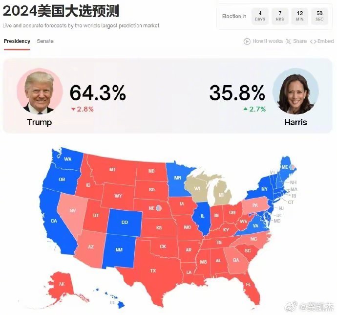 美國大選最新態(tài)勢深度視頻解析