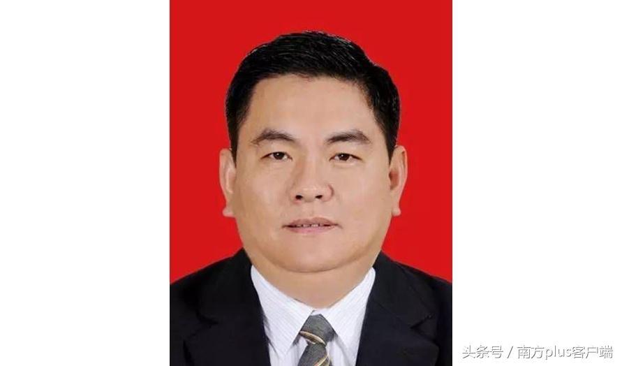 林廣華最新動(dòng)態(tài)，開啟新篇章