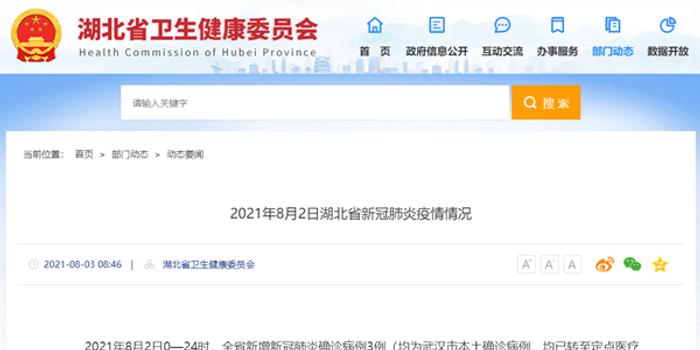 湖北新冠病例最新動(dòng)態(tài)，全面分析、應(yīng)對(duì)策略及未來(lái)展望