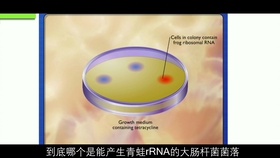 生物基因工程領(lǐng)域的最新突破與前景展望