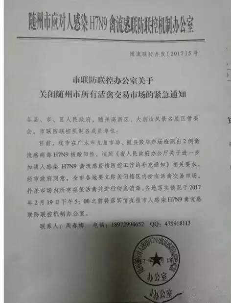 全球禽流感最新動態(tài)，最新消息與應對策略揭秘