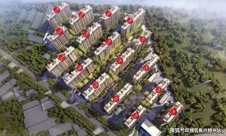 徐永聯(lián)最新動態(tài)，成功背后的故事揭曉