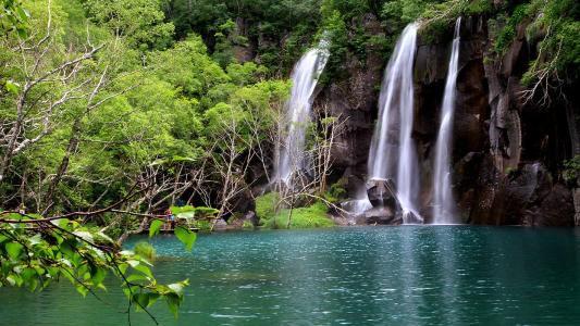 長白山景區(qū)最新通知，自然之美的全新探索體驗(yàn)