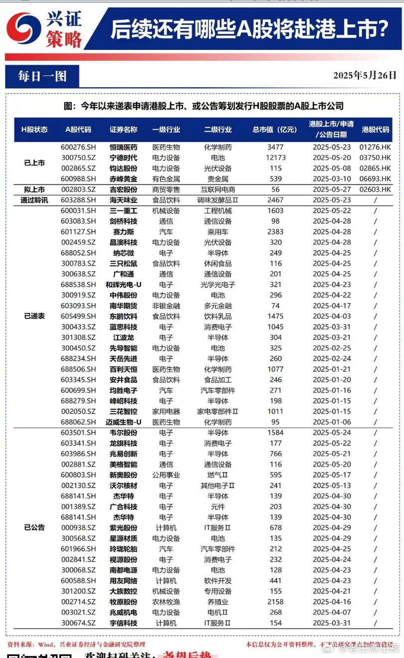 最新上市股票的觀察與解讀指南