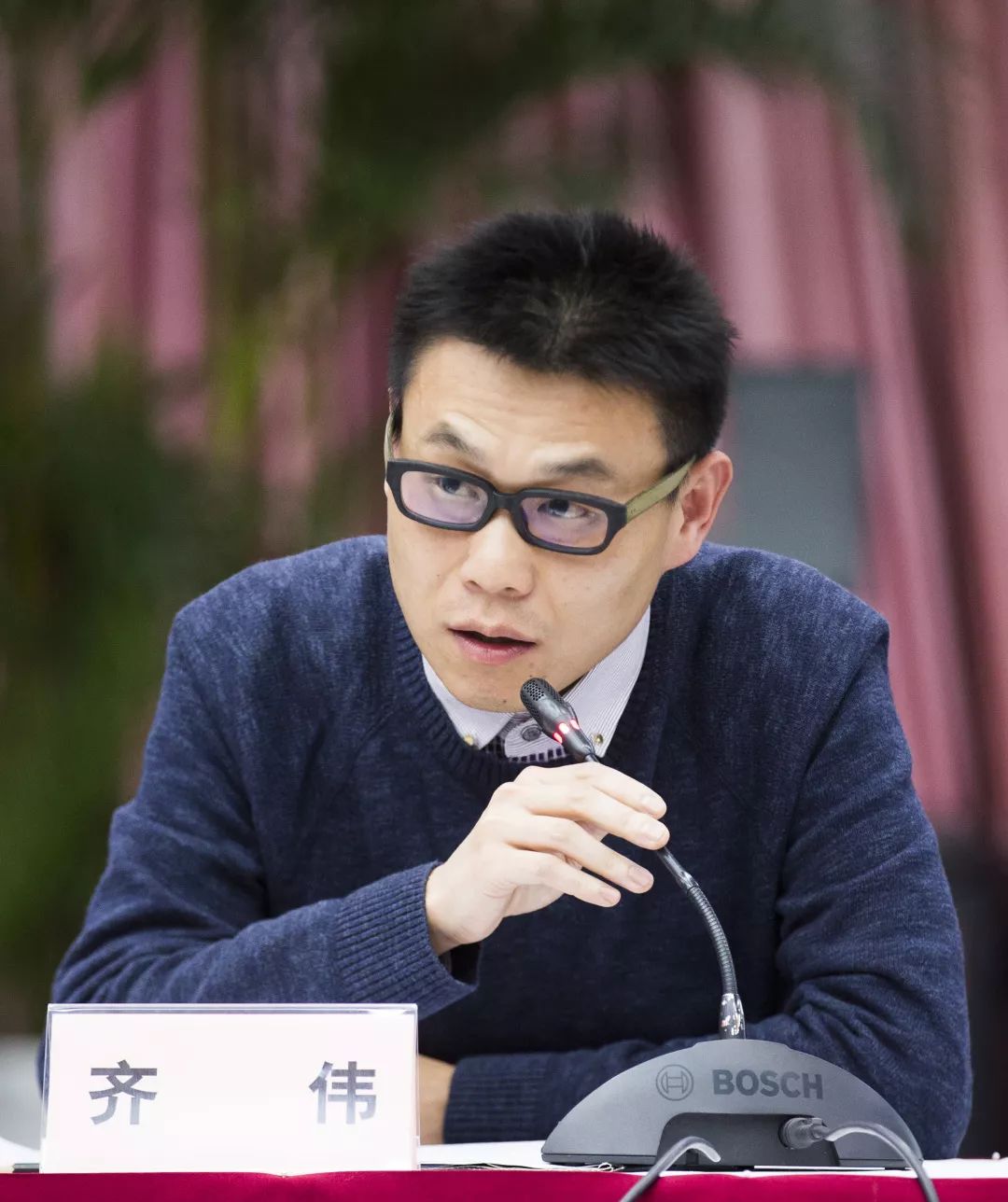 齊大偉多重身份揭秘，最新消息與輝煌成就概述