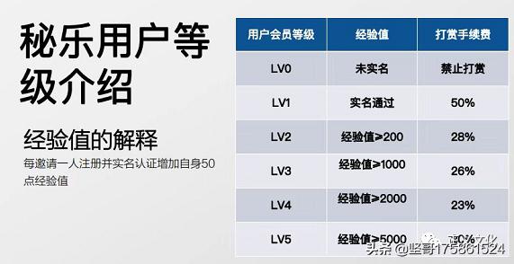 秘樂最新消息深度解讀